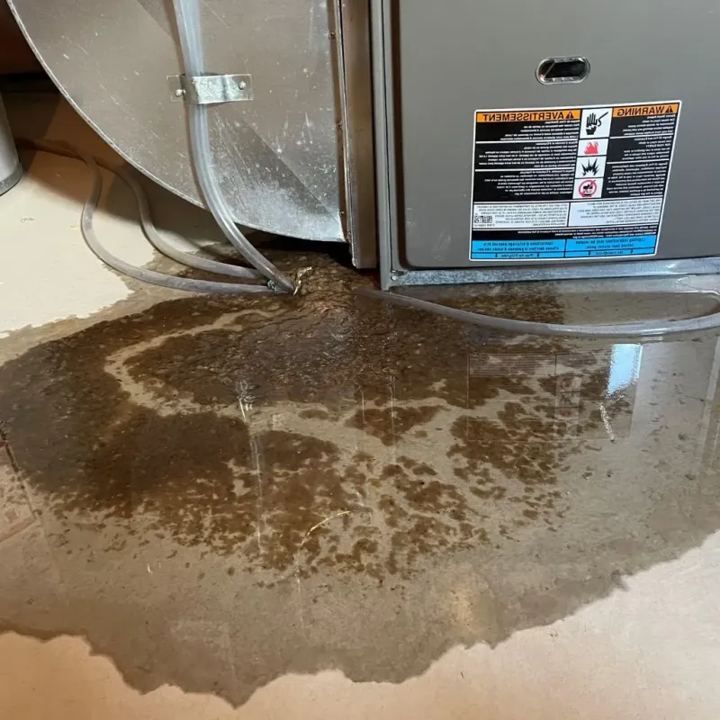 Pipe Burst and Leak Restoration in Madill, OK