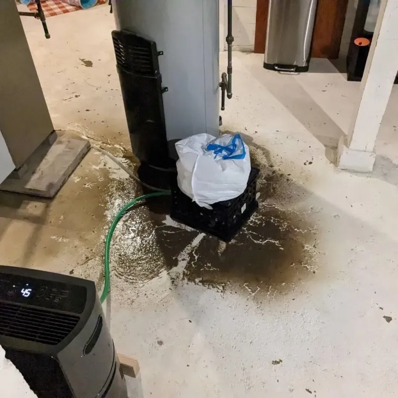 Sewage Backup Cleanup Service in Madill, OK